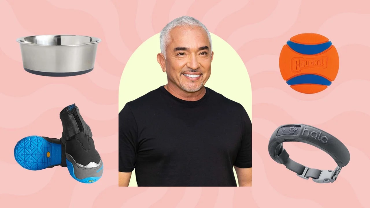 Cesar Millan