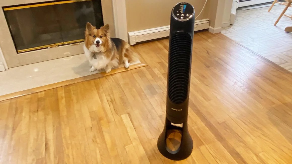 Honeywell Tower Fan and a dog